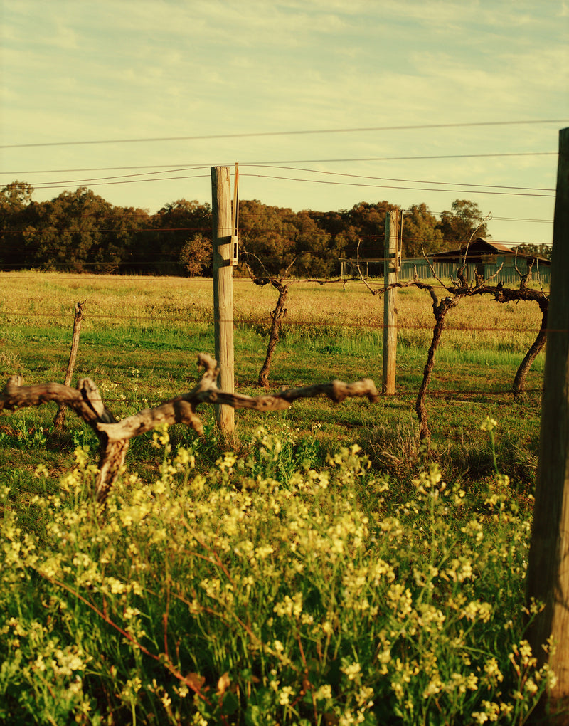 Acknowledgement of Country